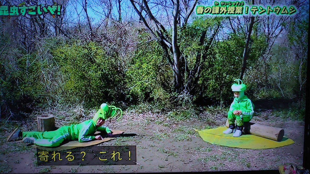 昆虫すごいぜ 香川照之さんと寺田心くんテントウムシ採集で競争 心くんのコメントが冴え渡る Togetter