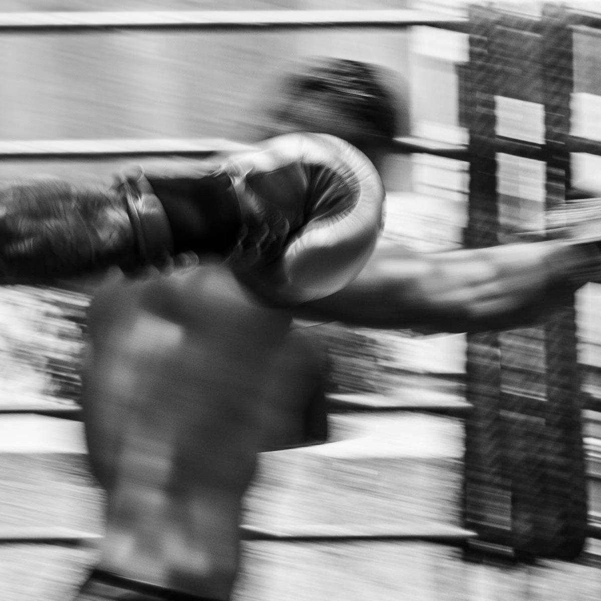 Para ganar debes comprometerte con tu cuerpo y mente

Planes de entrenamiento personalizados.
Reserva tu lugar vía WhatsApp 55 1069 4795⁣⁣