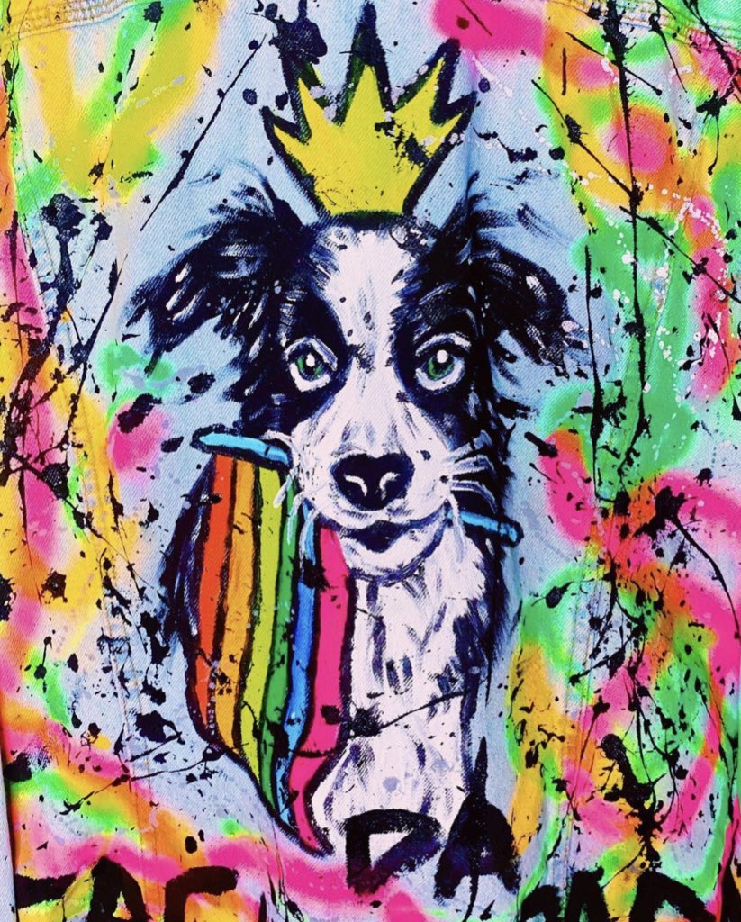 GilDoVigor's tweet photo. REI DA CACHORRADA! 👑🐶 

Gil vai participar da grande final com essa jaqueta que ganhou de presente de um fã. Os vigorosos sendo representados, gostaram? 

Artista 📲 https://t.co/231wKoQa8B https://t.co/Jh3ZVFRsA7