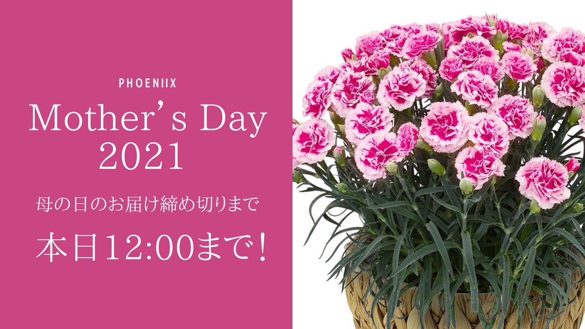 Flower Shop Phoenix Phoenixflower Twitter