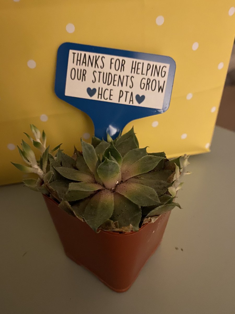 HCES Kinder Team tweet media