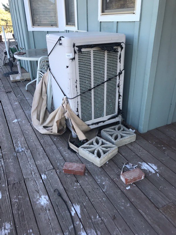 Over the weekend ~15 California condors descended on my moms house and absolutely trashed her deck. They still haven’t left. It sucks but also this is unheard of, there’s only 160 of these birds flying free in the state and a flock of them decided to start a war with my mom 