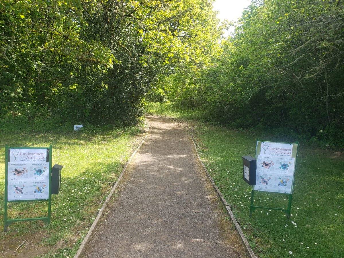 EduardoExplorer's tweet photo. Come and learn about the belted kingfisher and turkey vulture during World Migratory Bird Day at Willamette Valley National Wildlife Refuge Thanks to @enviroamericas @USFWSRefuges @USFWSMtnPrairie @audubonsociety @USFWSNews @VisitCorvallis @latinosoutdoors https://t.co/gQxmx6qn6C