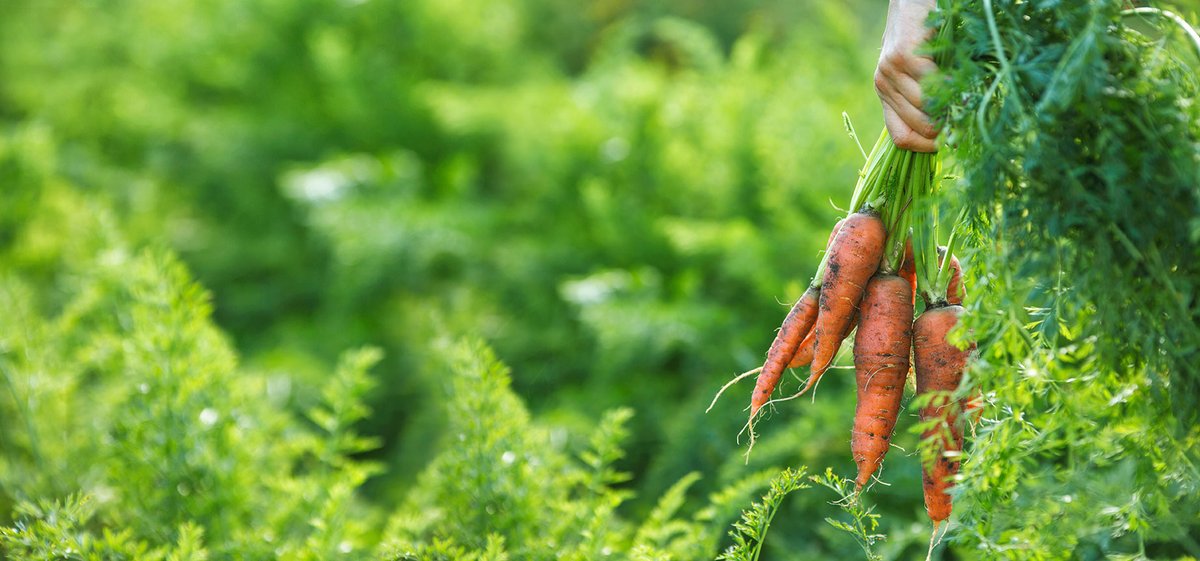 Hero Group Herogroupcomms Twitter