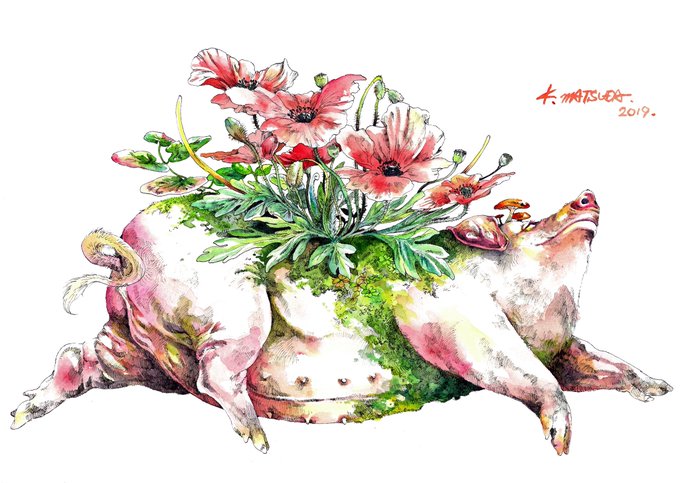 「boar」 illustration images(Latest｜RT&Fav:50)