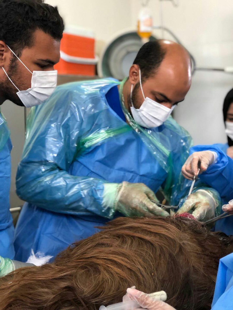 العيادة البيطرية بولاية السيب التابعة لإدارة الثروة الزراعية بمحافظة مسقط بوزارة الثروة الزراعية والسمكية وموارد المياه تقوم بمهمات كبيرة مُنذ إنشائها، لتكونَ أول عيادة بيطرية في مطلع السبعينات لعلاج الحيوانات بولايات مسقط والسيب وبوشر مطرح.  
#نشرة_المحافظات