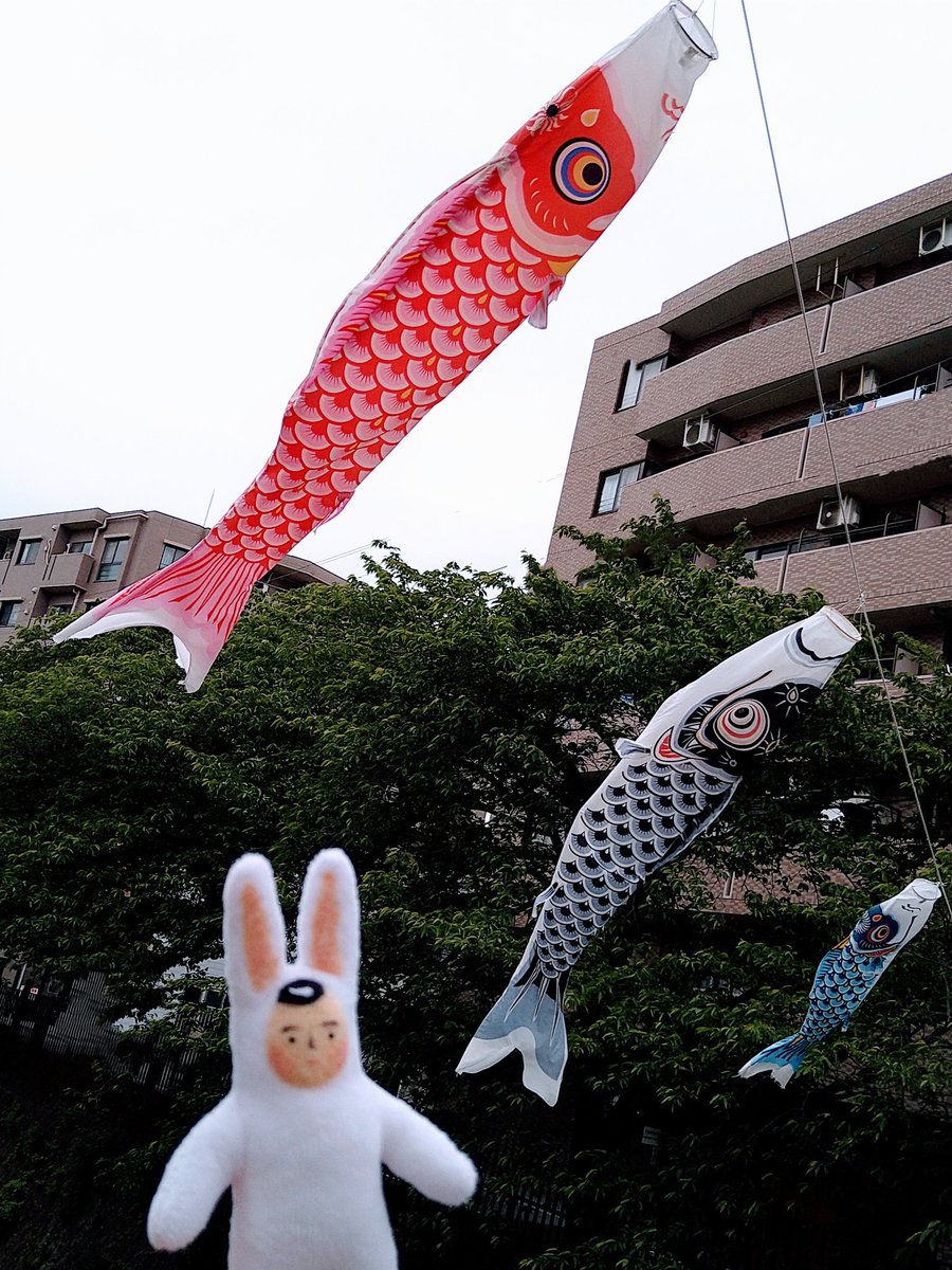 うさぎのさとうくん Hanerusato Twitter