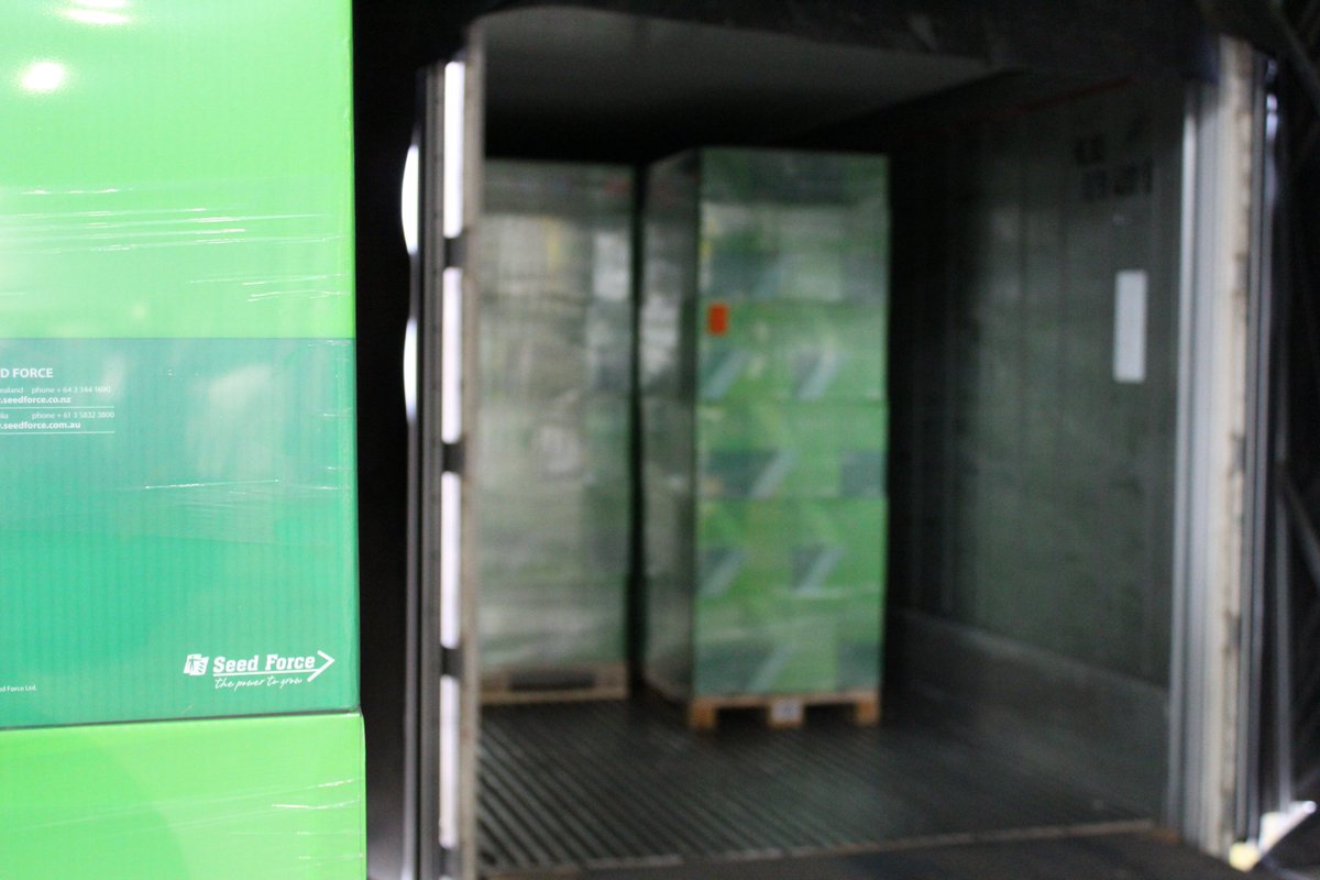 JoordensZaden's tweet photo. Loading this year last container with our fodder beet BRIGADIER for our sister company @SeedForceNZ in New Zealand.
Joordens Zaden fodder beets are high above the ground and therefore very well suited for strip grazing.
#FodderBeet #ForageCrop #StripGrazing https://t.co/k40Q957faB
