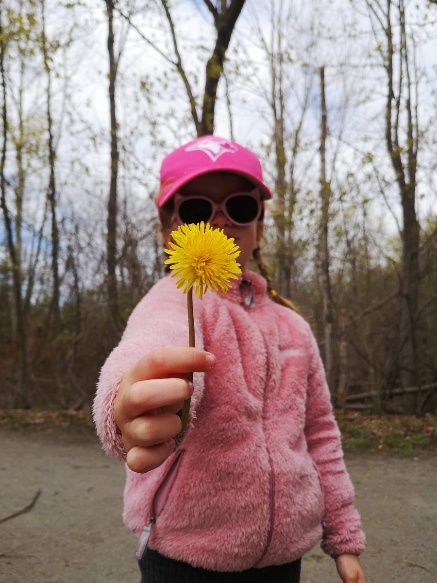 CritterGranny🇨🇦 tweet media