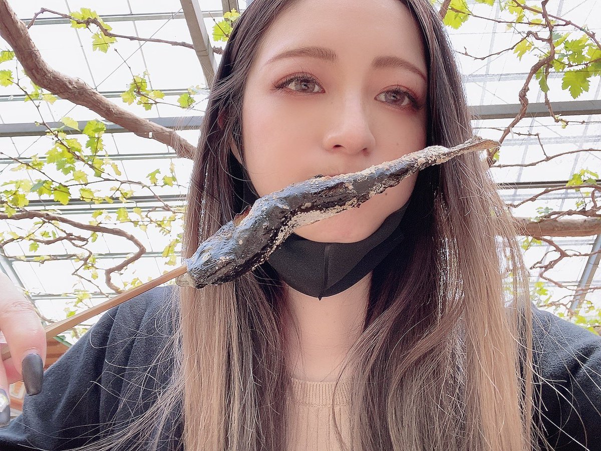 Lisa tweet media