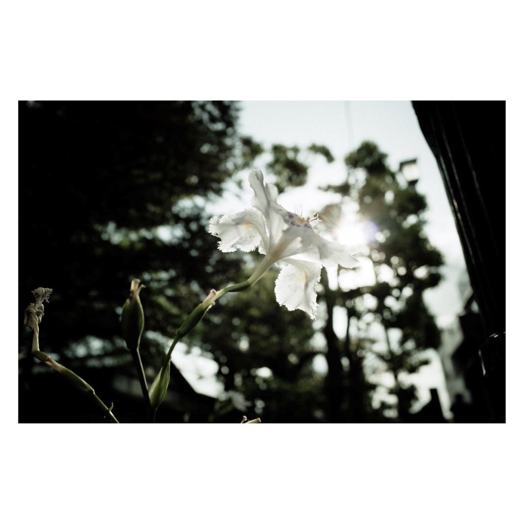 boogie_0505's tweet photo. #photography https://t.co/VXuyurQvjh