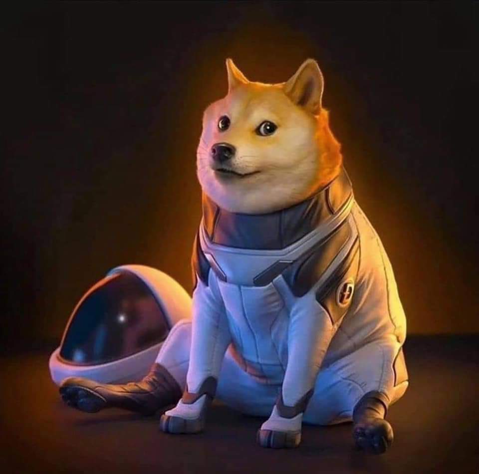 galleynation's tweet photo. π STOP π LISTENING TO THE βEXPERTS!β Those βexcerpts said β#Dogecoin will never reach 10Β’β then it was 20Β’, etc... They donβt have a clue.
#DogeArmy, pave your own path!!! #muchwow #dogefather #dogewisdom https://t.co/OapJbRGJts