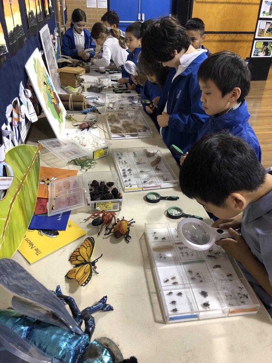 Today our Stage 2 students got to learn all about Native Australian bees and even built their own Bee Hotels! A great investigation! #savethebees #bees