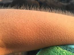 AnonymusNews_'s tweet image. Somos #Anonymous, somos LEGIÓN.

TODOS: