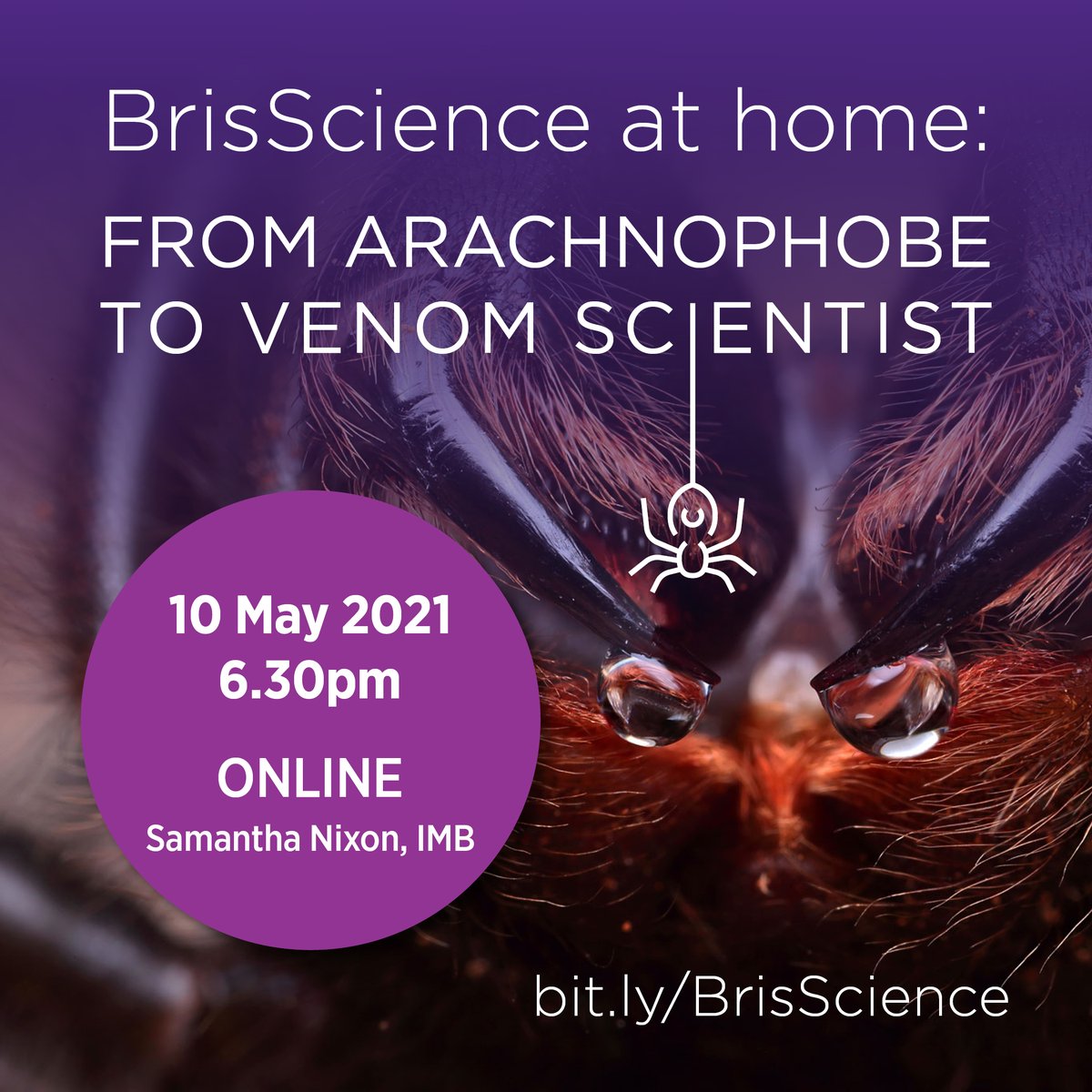 UQ_News's tweet photo. Arachnophobia is a common fear. But is it justified? Could deadly spiders hold the key to the next medical break through? π·οΈ
Hear from former arachnophobe turned venom scientist @SamNScience. Grab a free online ticket to #BrisScience tomorrow!
Register: https://t.co/9SYvwiXlim https://t.co/VM6ZD6ywNX