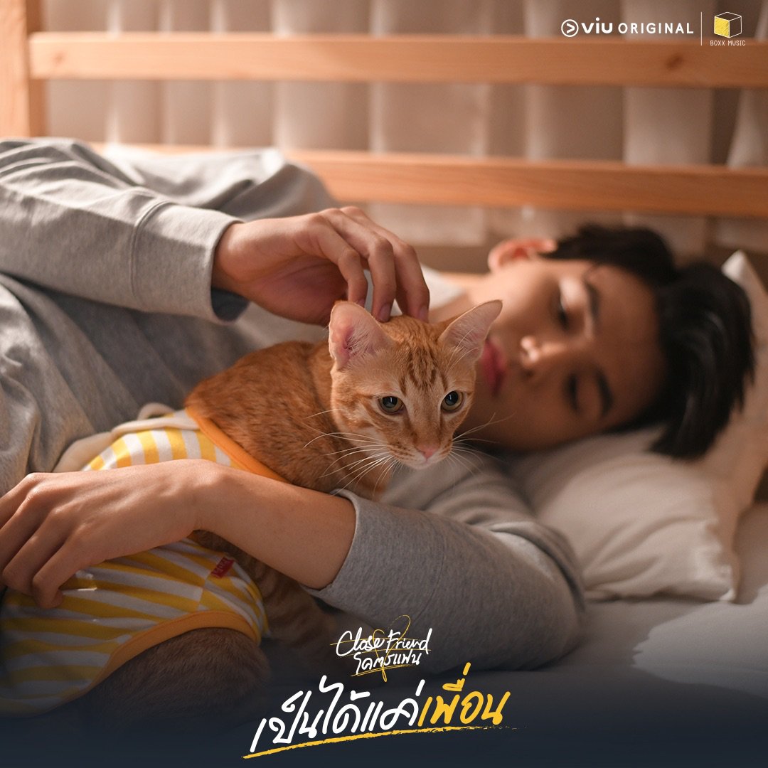 Viu Thailand tweet media