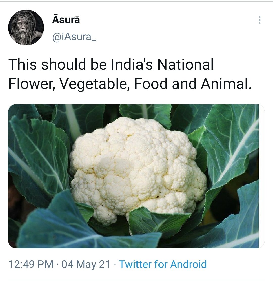 You might have read about 'Cauliflower' farmer/farming on many Right Wing accounts here& on Instagram lately. Do you know what it means?

It refers to Logain Massacre during 1989 Bhagalpur Riots, where 116 Muslims were killed, buried & cauliflower were planted to hide the bodies.