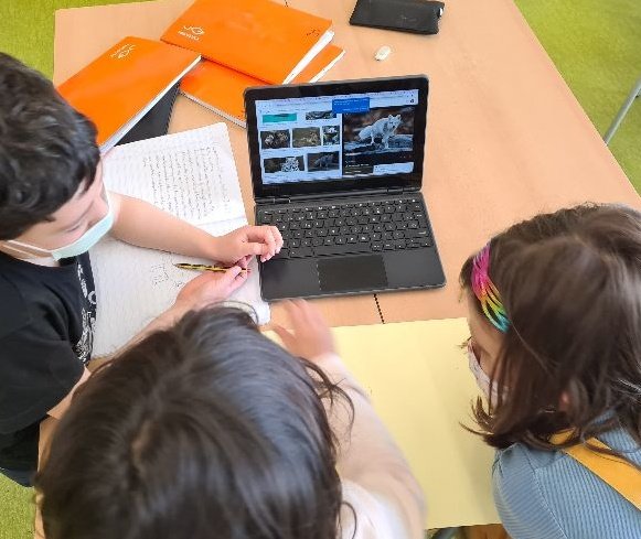 EscolaElsPins's tweet image. #2PRI Treballem en grups cooperatius i fem recerca, amb els #chromebook, envers els animals en perill d'extinció.
#ODS #ODS14 #ODS15
#IntegremLesTac