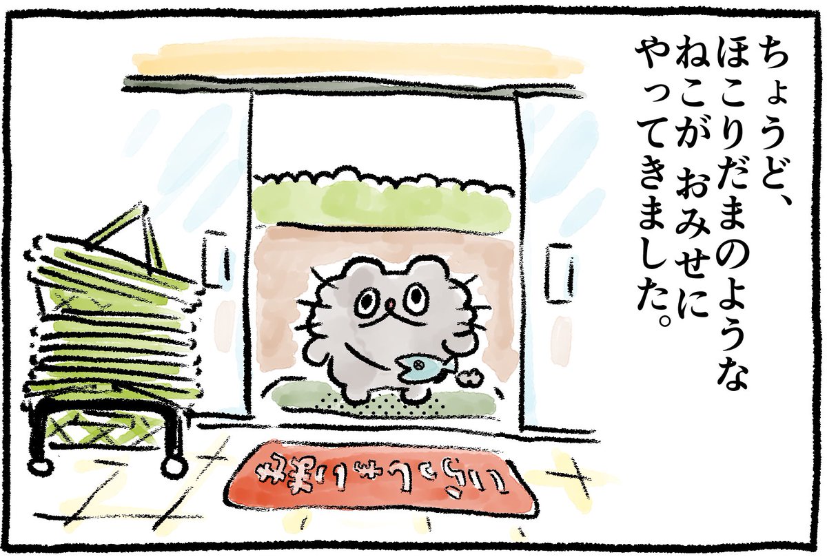 🍤🍤2/4
#ねこのぶーちゃん4コマ 