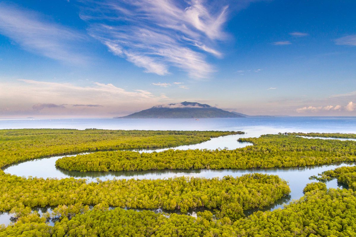 Somewhere in #Madagascar🥰🇲🇬
bit.ly/3nOTzAl