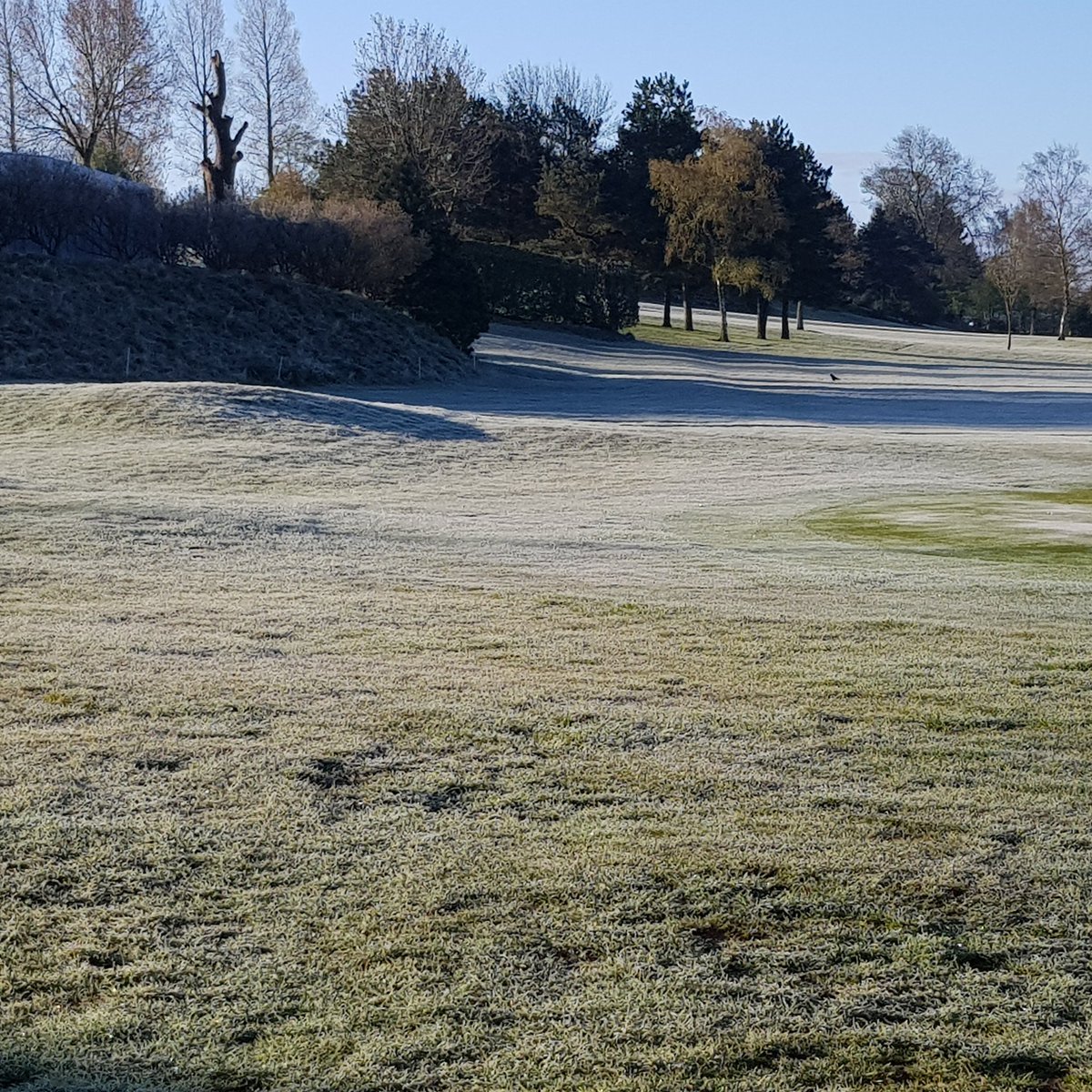 Casterton Golf tweet media