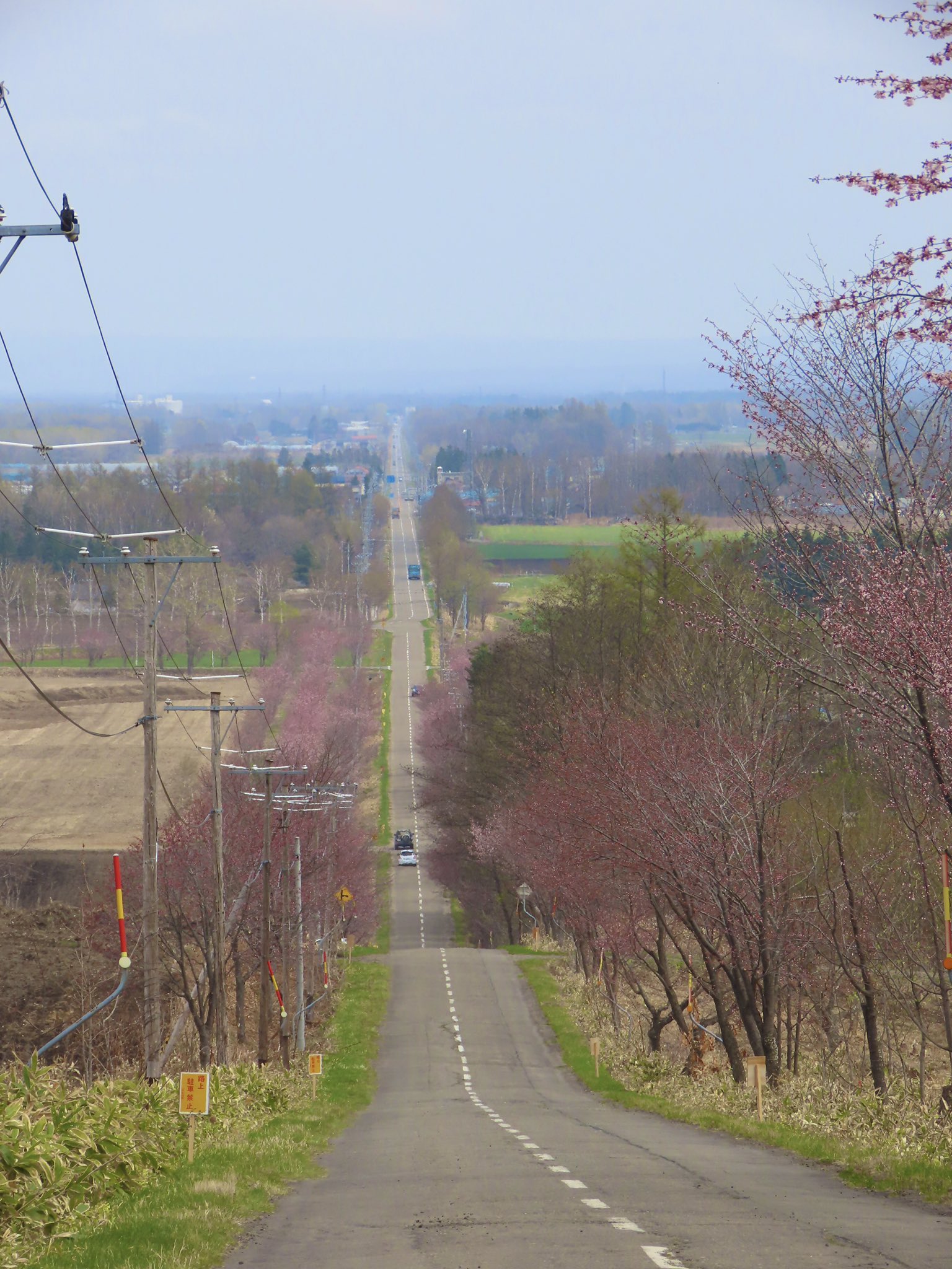 桜六花公園 Twitter Search Twitter