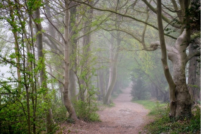 A cold misty morning on May 1st .....