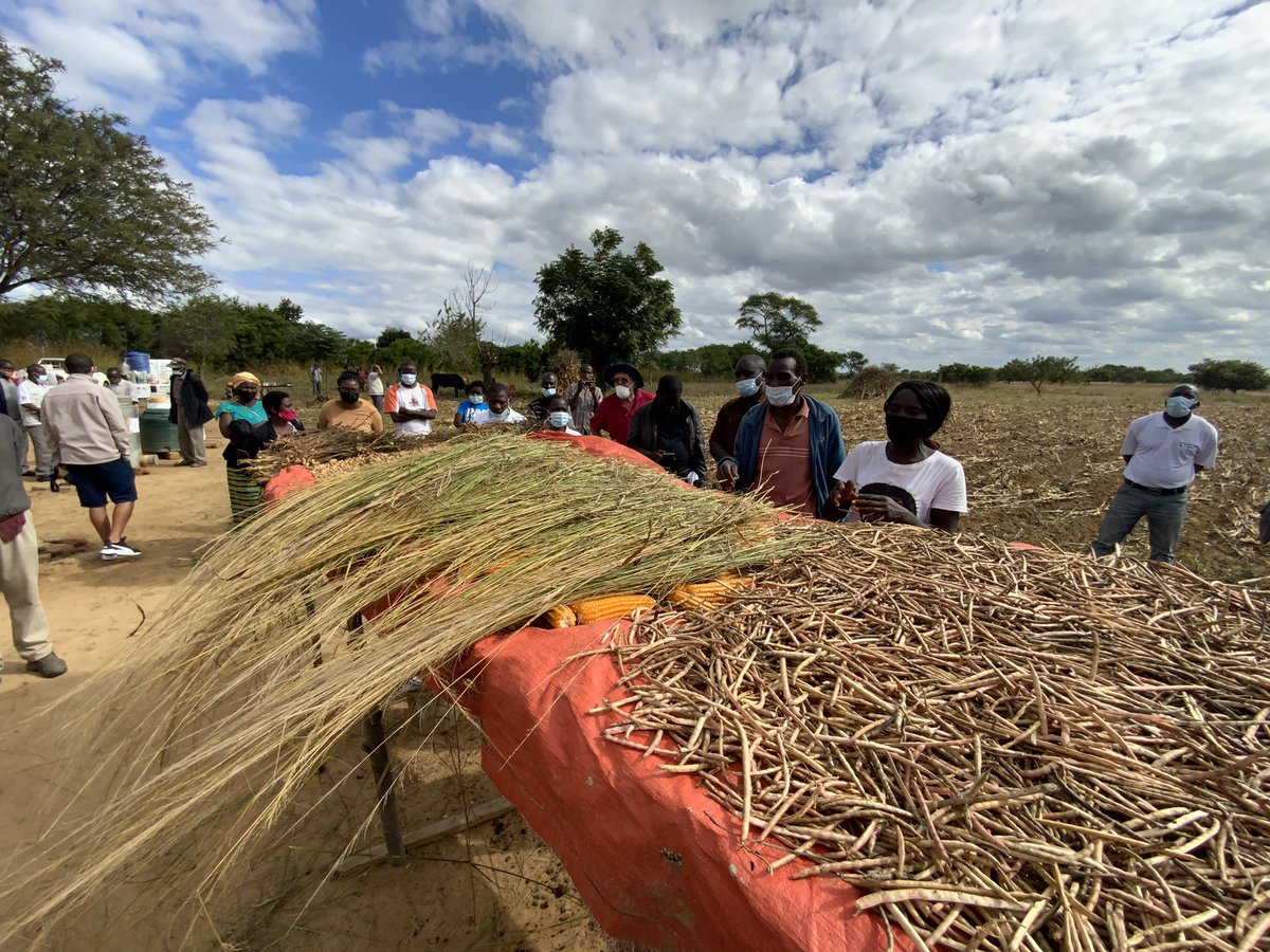 KfW_Zambia's tweet photo. Deep dive into 🇿🇲 Monze &amp; Gwembe district with @unicefzambia &amp; @wfp visiting the #ScalingUpNutrition &amp; Drought Recovery Project. Investing in 🥬🥕🥑🌽 🐓🐄🚰 #nutrition #agriculture #water #sanitation #health 🇩🇪 @BMZ_Bund via @KfW_FZ_int @GermanyinZambia https://t.co/Zz09TNCqK0