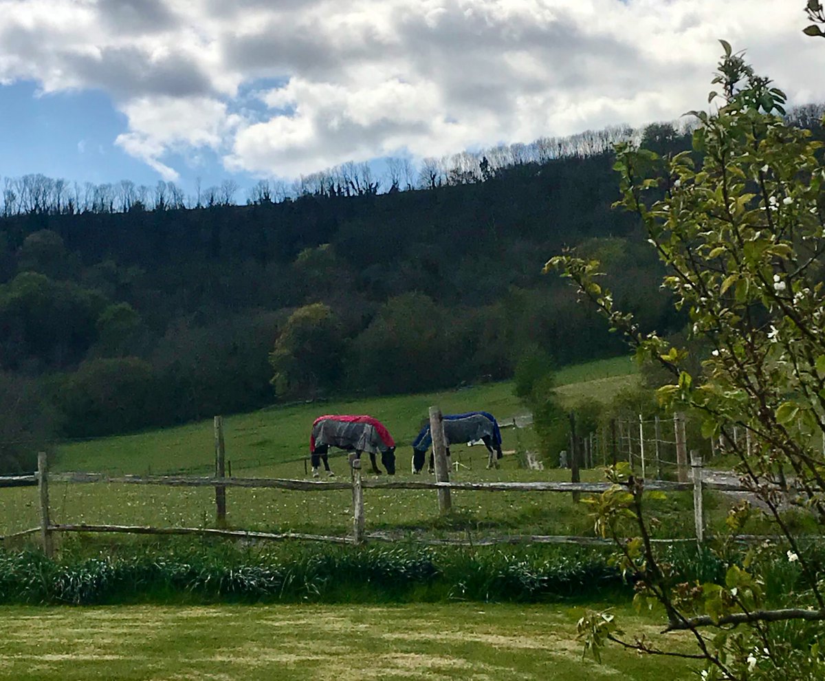 In rural West Sussex for election week and can confirm it’s definitely a two horse race here, with the candidates inching ever closer to the centre ground #quitenichetweet