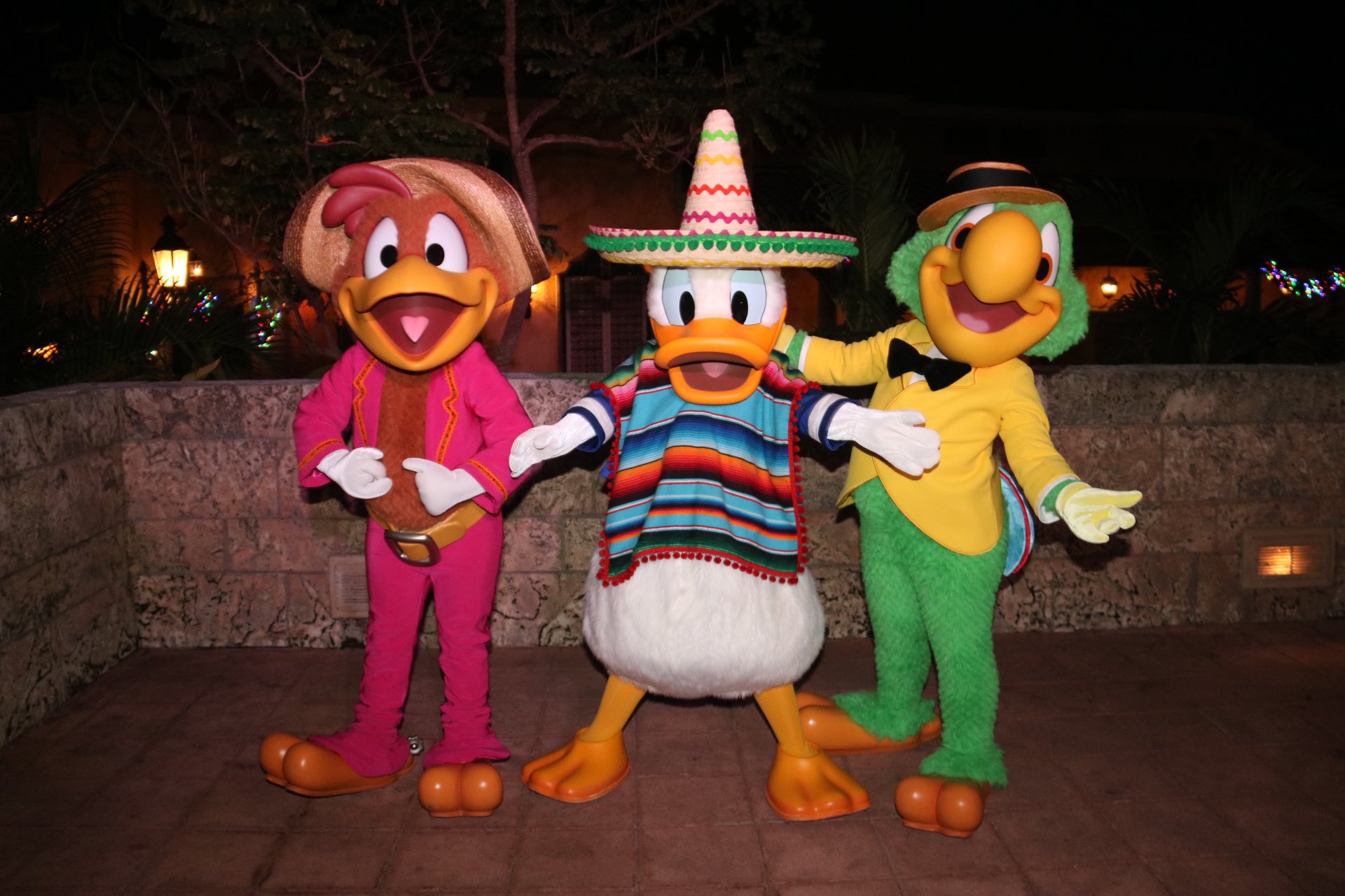 360 Of Disney Happy Cinco De Mayo Thethreecaballeros Threecaballeros Donaldduck Josecarioca Panchitopistoles Jose Panchito Epcot Dvc Moonlightmagic Disneyvacationclub ドナルドダック ホセ ホセキャリオカ パンチート