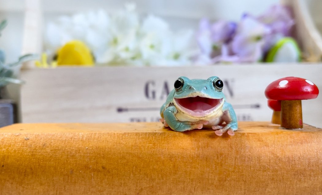 ぴよ カエルと暮らす 9 24 10 3 ヴィレヴァンコラボ中 可愛い 可愛い 可愛い ｋａｗａｉｉ Gwを写真4枚で振り返る