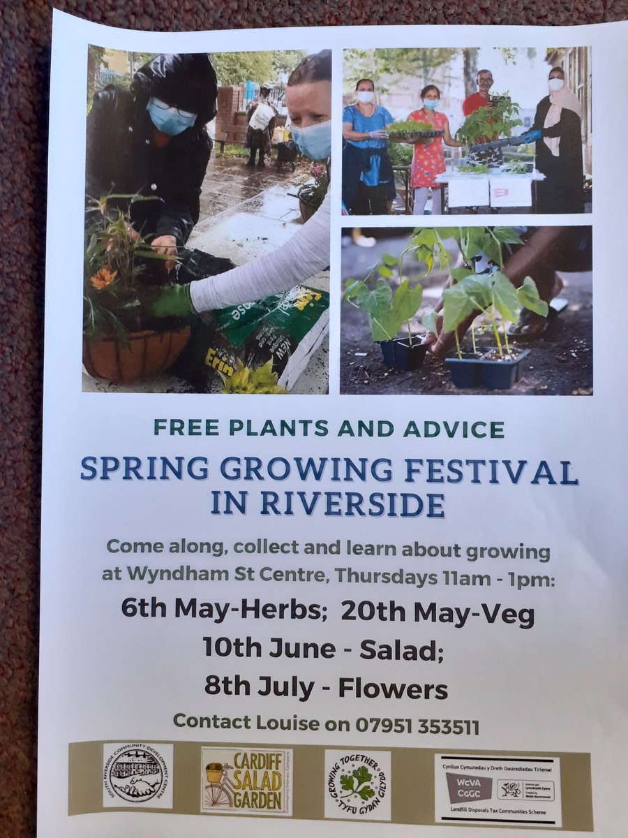 Getting ready for the first of 4 GiveAways for South Riverside residents. Part of the @ediblecardiff  Spring Festial with wonderful plants grown by @buteparkcardiff Nursery and @CardiffSalad.