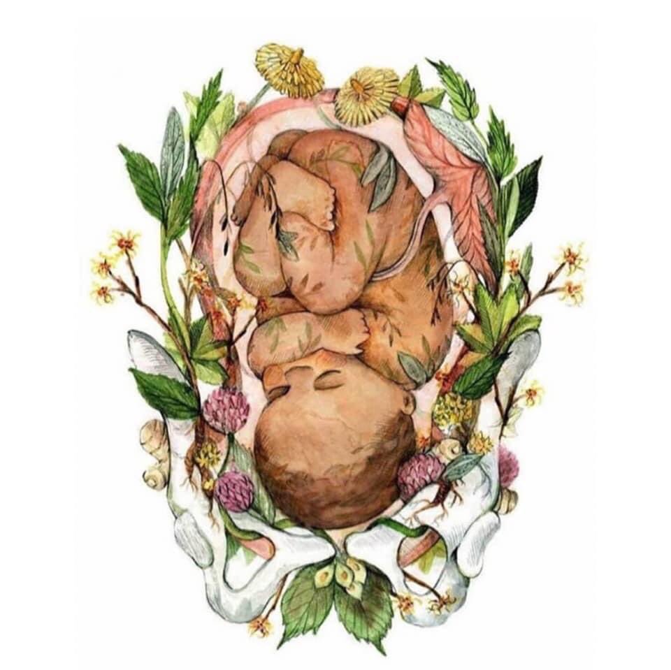 Gemma Boyd (@boydboysta) on Twitter photo Happy International Day of the Midwife to all my amazing, kind, clever, exhausted, beautiful, smiling eyes above their mask colleagues. You impress me every day. So glad to be spending my first #IDM2021 as a Consultant Midwife <a href="/SFHFT/">Sherwood Forest Hospitals NHS FT</a> #sfhmaternity working on SBU. Thank you ❤️❤️❤️ Happy International Day of the Midwife to all my amazing, kind, clever, exhausted, beautiful, smiling eyes above their mask colleagues. You impress me every day. So glad to be spending my first #IDM2021 as a Consultant Midwife <a href="/SFHFT/">Sherwood Forest Hospitals NHS FT</a> #sfhmaternity working on SBU. Thank you ❤️❤️❤️