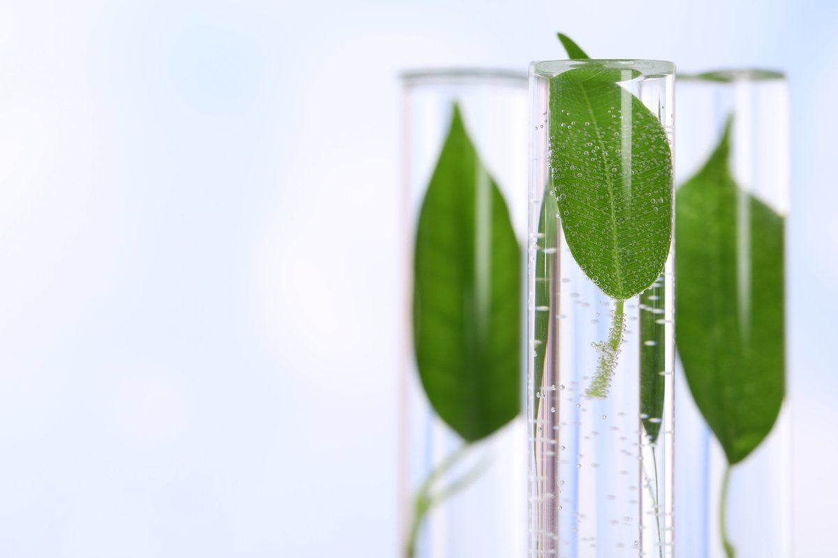 L_Imprenditore's tweet image. Al via #TECHSHAREDAY2021 Da oggi e fino al 7 maggio tre giorni di full immersion nella ricerca italiana per conoscere le migliori tecnologie ambientali per le imprese. Per saperne di più bit.ly/3ekRk4U