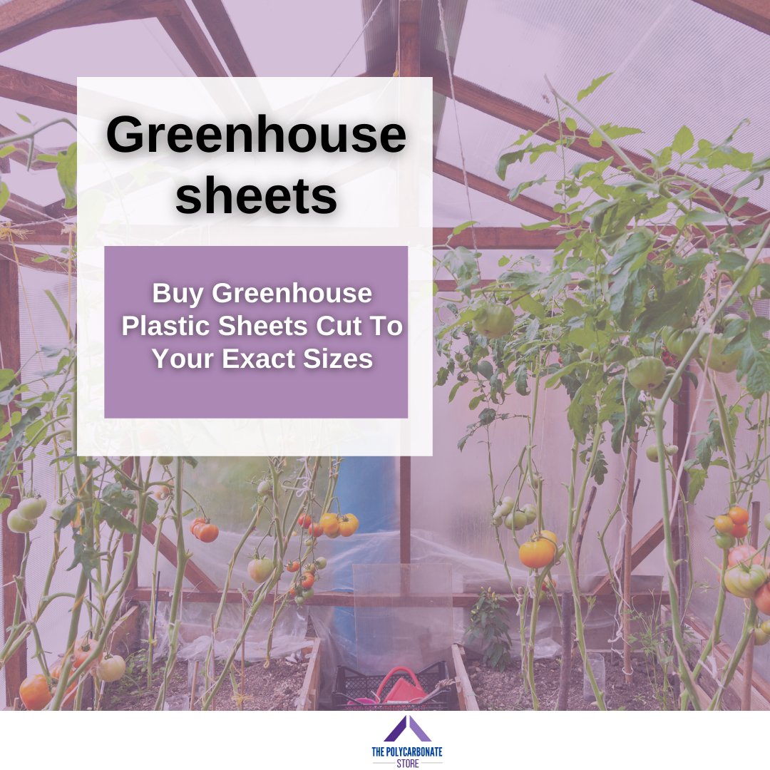 Buy Greenhouse Plastic Sheets Cut To Your Exact Sizes😀

#greenhousesheets #greenhouse