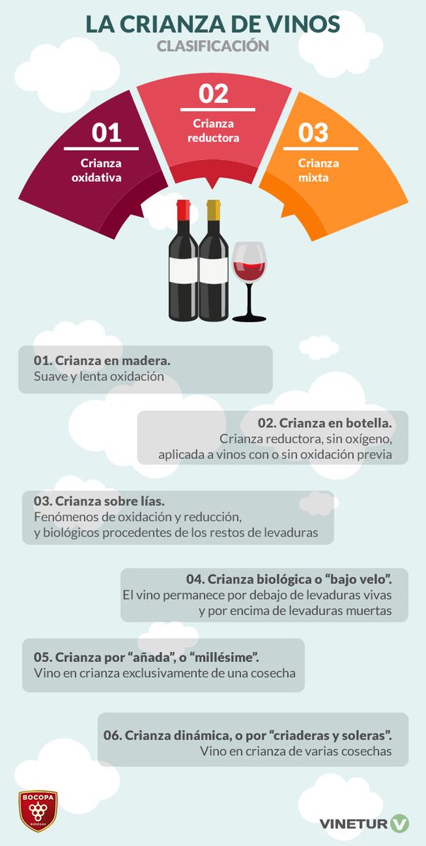 VinoWin_ES's tweet photo. La crianza de los vinos https://t.co/HkLVWOVAnR