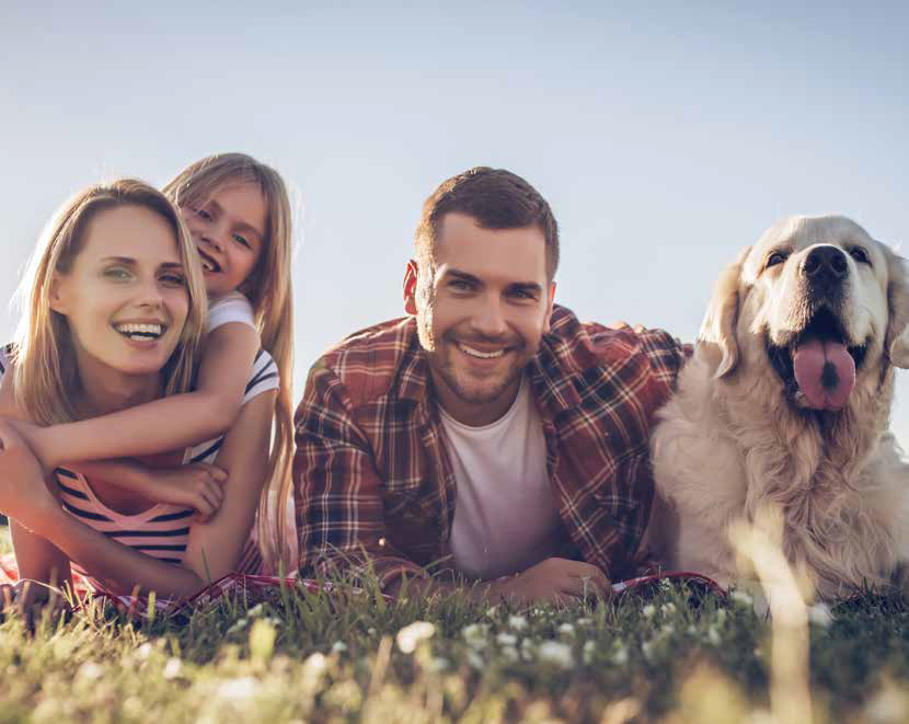 Wade_Financial's tweet image. Have you protected your family's financial security for the future?

If not, find out how you can do so in our downloadable guide. Free to all of our subscribers, dropping at 3pm today...

Sign up here: wadefinancial.co.uk