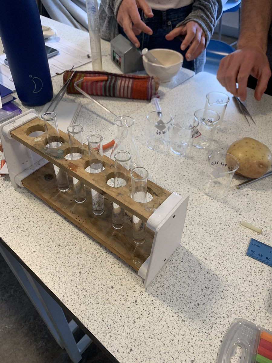 KDScience's tweet photo. Year 12 investigating #enzymeactivity #AQABiology #ALevelBiology https://t.co/JZRJ86XdEC