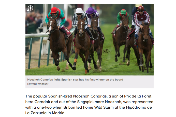Nadie se ha olvidado de <a href="/noozhoh/">NOOZHOH Oficial</a> Canarias. La victoria de BRIBÓN en <a href="/RacingPost/">Racing Post</a>.
@Torreduero <a href="/jorgeAn00092899/">Jorge A. Rodriguez</a> 
Wings Of Eagles and Noozhoh Canarias off the mark with winners across Europe racingpost.com/bloodstock/win…