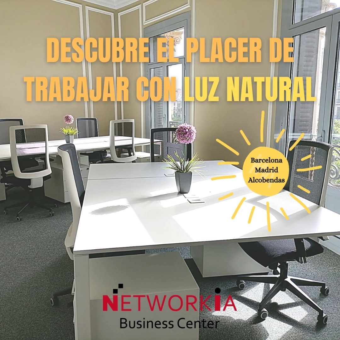 NetworkiaBC's tweet photo. Descubre el placer de trabajar con luz natural. Te invitamos a conocer todas las oficinas de nuestros centros.
https://t.co/HLhnfGbgay
900 900 092

#oficina #workspace #coworking #barcelona #madrid #alcobendas #centrodenegocios #business #luznatural #networkia https://t.co/lp8Xvm5FKg