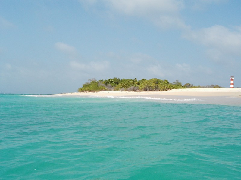 Las playas de Morrocy 🇻🇪  son hermosas #CayoBorracho