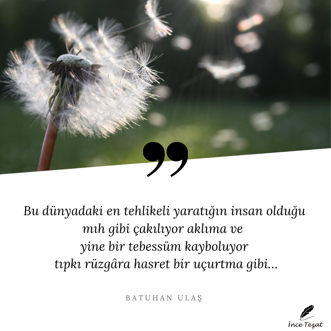 Dost incetezat.com/deneme/dost/