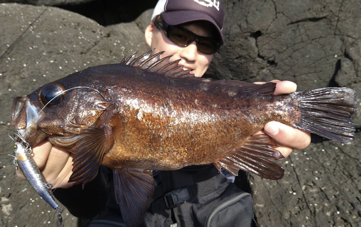 Realbvoice Twitter Search Twitter