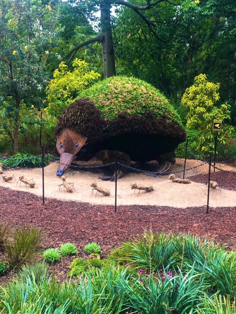 We see the world through the lens of all our experiences,Sometimes we just need perspective.I can't wait to trial this activity to engage students in a deeper level of learning and thinking through observation of 10x2 Living Things in the world around them #STAK10Conference2021