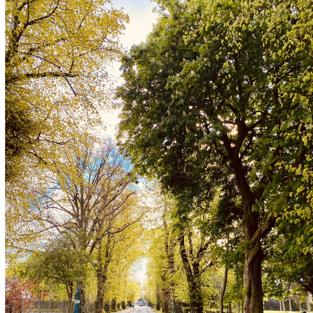 We have light at the end of the tunnel and look forward to a reopening of our wonderful summer accommodation @dcurooms in early June

For the best rates and availability visit hubs.ly/H0MCmPz0

@dcu @oncampusireland