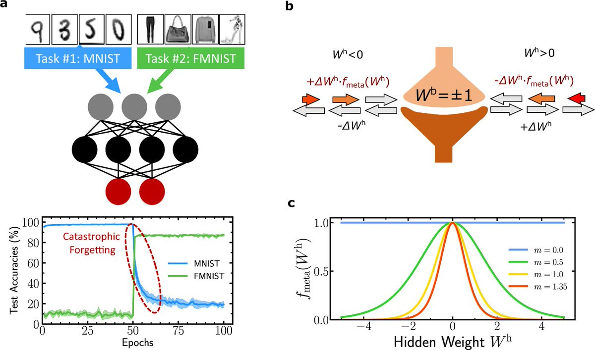 Damien Querlioz (@damienquerlioz) on Twitter photo Our new work, "Synaptic metaplasticity in binarized neural networks", in <a href="/NatureComms/">Nature Communications</a> ! nature.com/articles/s4146… <a href="/AxelLaborieux/">Axel Laborieux</a> #MaxenceErnoult <a href="/TifennHirtzlin/">Tifenn HIRTZLIN</a> <a href="/C2N_com/">C2N, Centre de Nanosciences et de Nanotechnologies</a> <a href="/UnivParisSaclay/">Université Paris-Saclay</a> @INSIS_CNRS <a href="/CNRSIdFSud/">CNRS à Paris-Saclay</a> (1/6) Our new work, "Synaptic metaplasticity in binarized neural networks", in <a href="/NatureComms/">Nature Communications</a> ! nature.com/articles/s4146… <a href="/AxelLaborieux/">Axel Laborieux</a> #MaxenceErnoult <a href="/TifennHirtzlin/">Tifenn HIRTZLIN</a> <a href="/C2N_com/">C2N, Centre de Nanosciences et de Nanotechnologies</a> <a href="/UnivParisSaclay/">Université Paris-Saclay</a> @INSIS_CNRS <a href="/CNRSIdFSud/">CNRS à Paris-Saclay</a> (1/6)