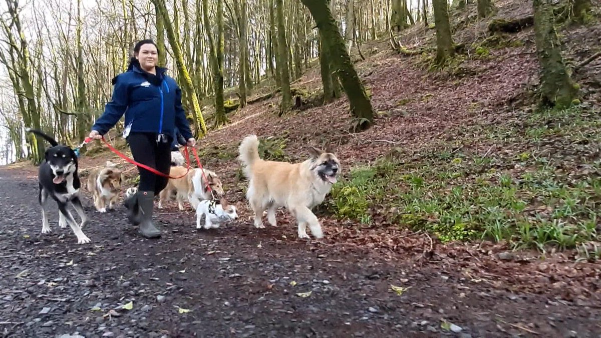 We discover areas within the environs of our own place as three people show us around their locality in South Limerick, Sligo and Waterford on #RTENationwide Wednesday 5th May <a href="/RTEOne/">RTÉ One</a> 7pm &amp; RTE+1 8pm <a href="/rte/">RTÉ</a> 
<a href="/Ballyhoura/">Visit Ballyhoura</a> @limerickhour <a href="/WaterfordHour/">WaterfordHour</a> <a href="/SligoHour/">SligoHour</a> <a href="/SligosBuzzin/">Sligo'sBuzzin</a> RT
