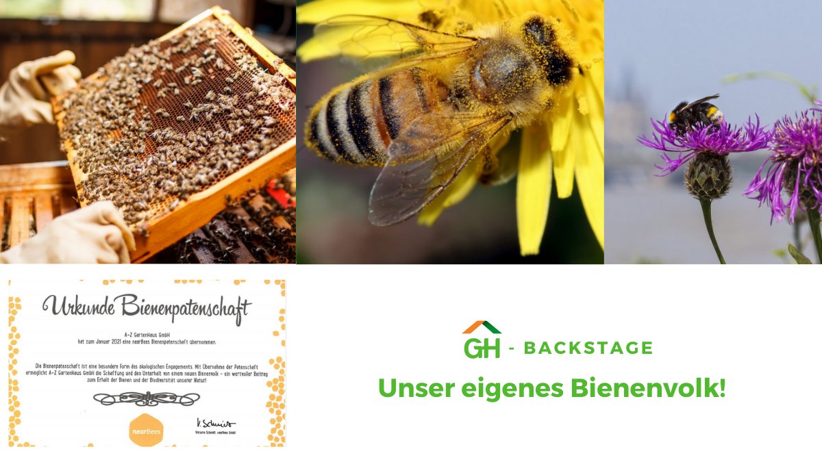 Bienenpatenschaft für 2021 