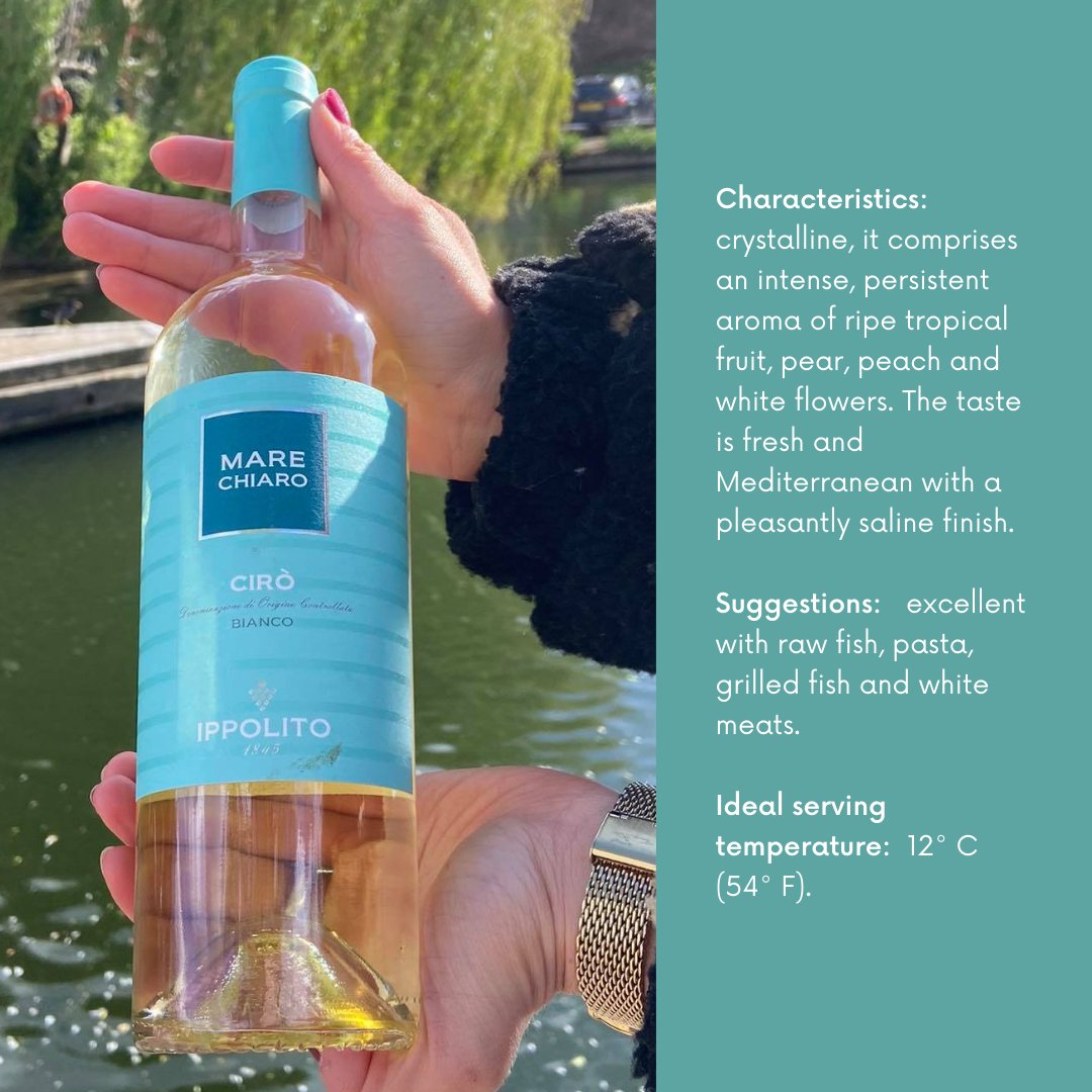 🌊 Mare Chiaro 🌊

Free delivery all around U.K. 🇬🇧

#wine #Italian #quality #unitedkingdom