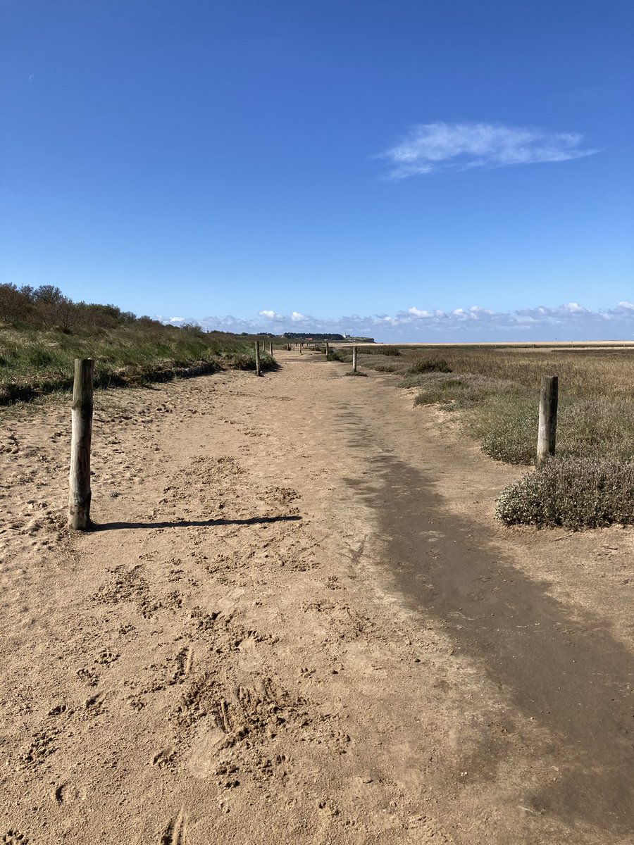 norfolk_rachie's tweet photo. Gorgeous morning 😍#welcomebacksun https://t.co/4eShKDfdOP